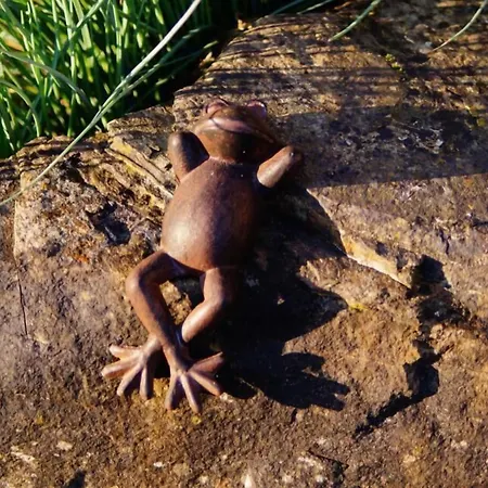 Gaestehaus Panorama Bruttig-Fankel