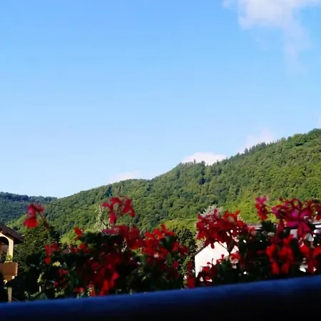 Pensión Gaestehaus Panorama 3*