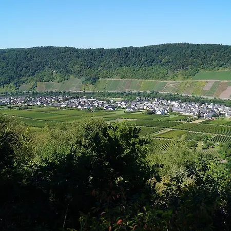 Gasthof Panorama Bruttig-Fankel
