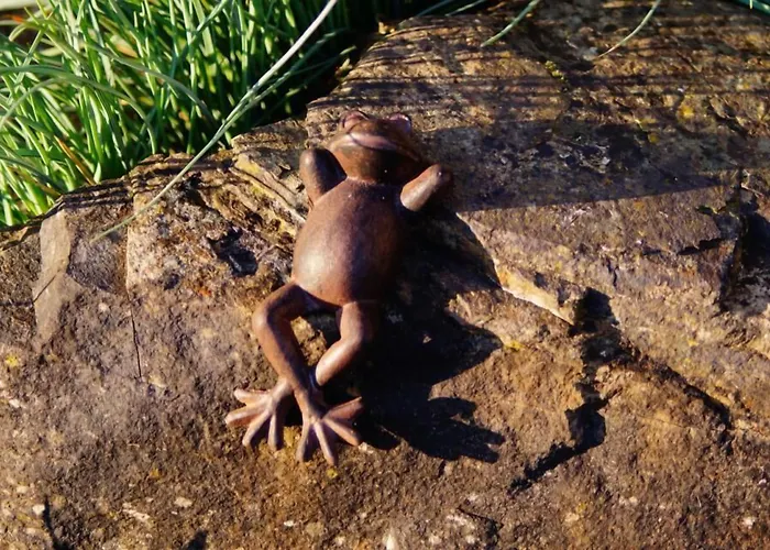 Gaestehaus Panorama Bruttig-Fankel