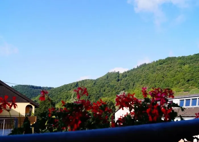 Maison d'hôtes Gaestehaus Panorama 3*