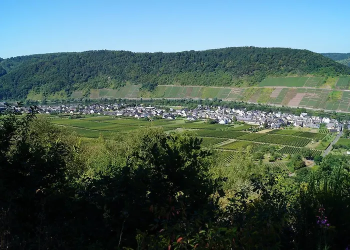 Maison d'hôtes Gaestehaus Panorama Bruttig-Fankel
