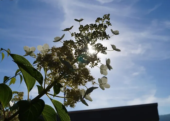 Maison d'hôtes Gaestehaus Panorama