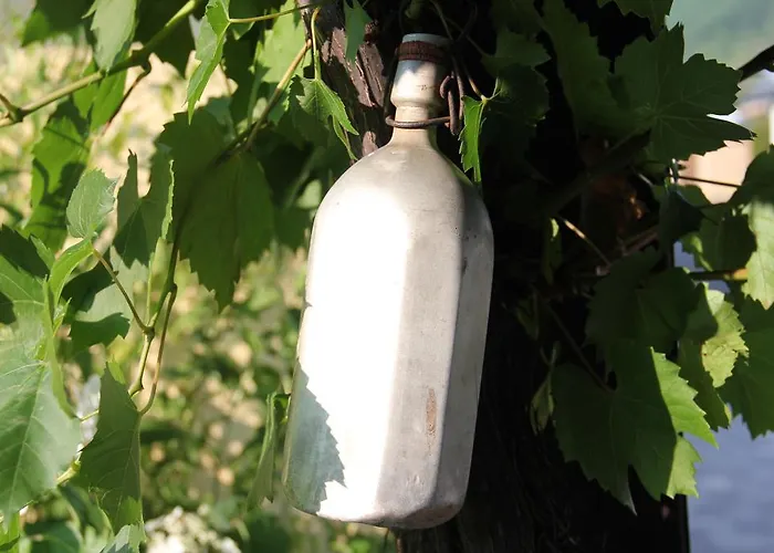 Konukevi Gaestehaus Panorama Bruttig-Fankel